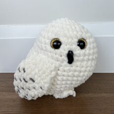 Hedwig the Snowy Owl